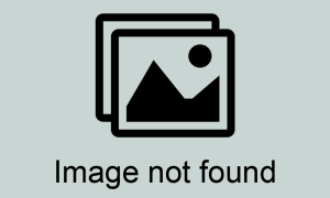 Foto Aeppli Informatik